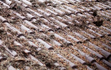 Spott roof cleaning companies