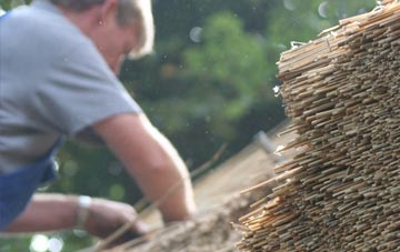 professional Spott thatchers