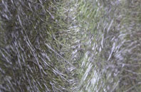 Spott fibreglass roof work